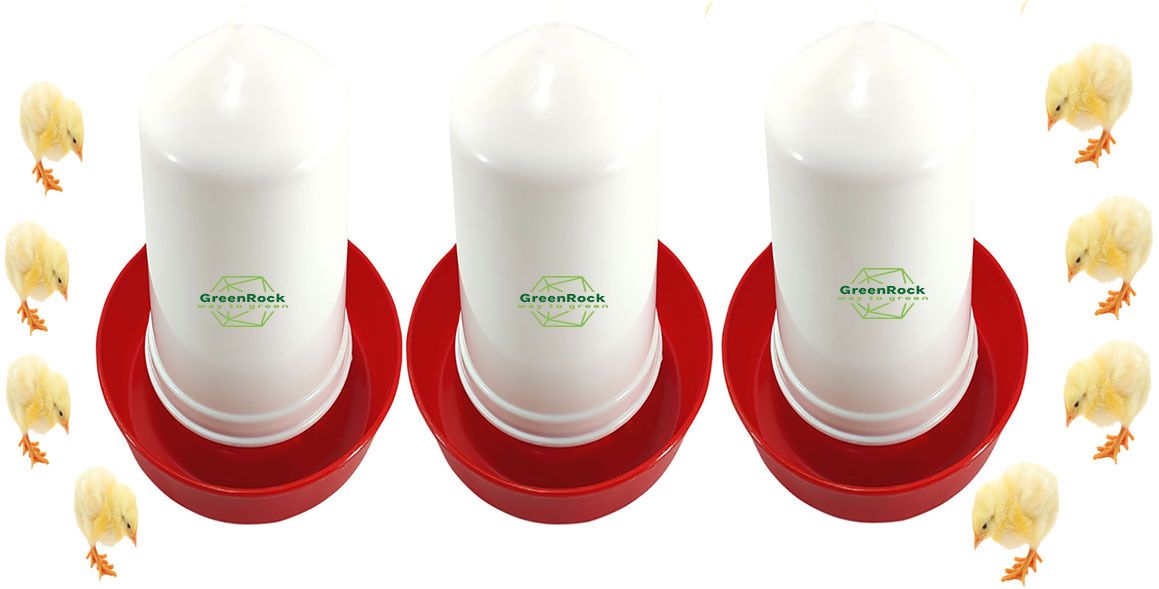 greenrock Chick & Quail Food Feeder & Drinker Combo 500 grams capacity (Pack Of 3) Common Bird Feeder-picture-15