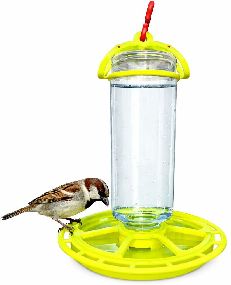 skyalone Blue Bird Bird Feeder-picture-19