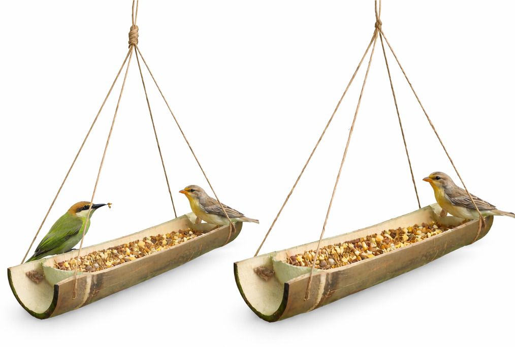 desibamboo Blue Bird Bird Feeder-picture-44