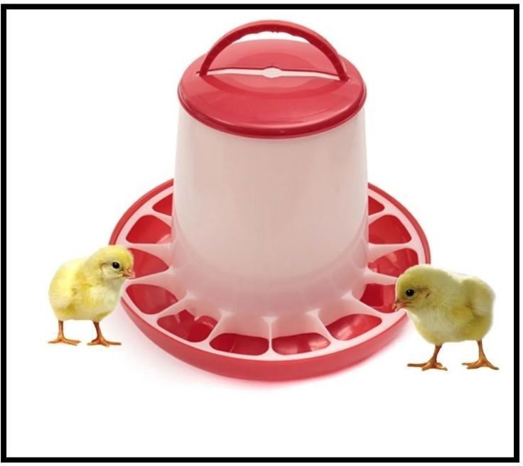 tm&w high quality Feeder 1.5 Kg for any birds useful 1 pcs combo. Feeding for farming Common Bird Feeder-picture-14