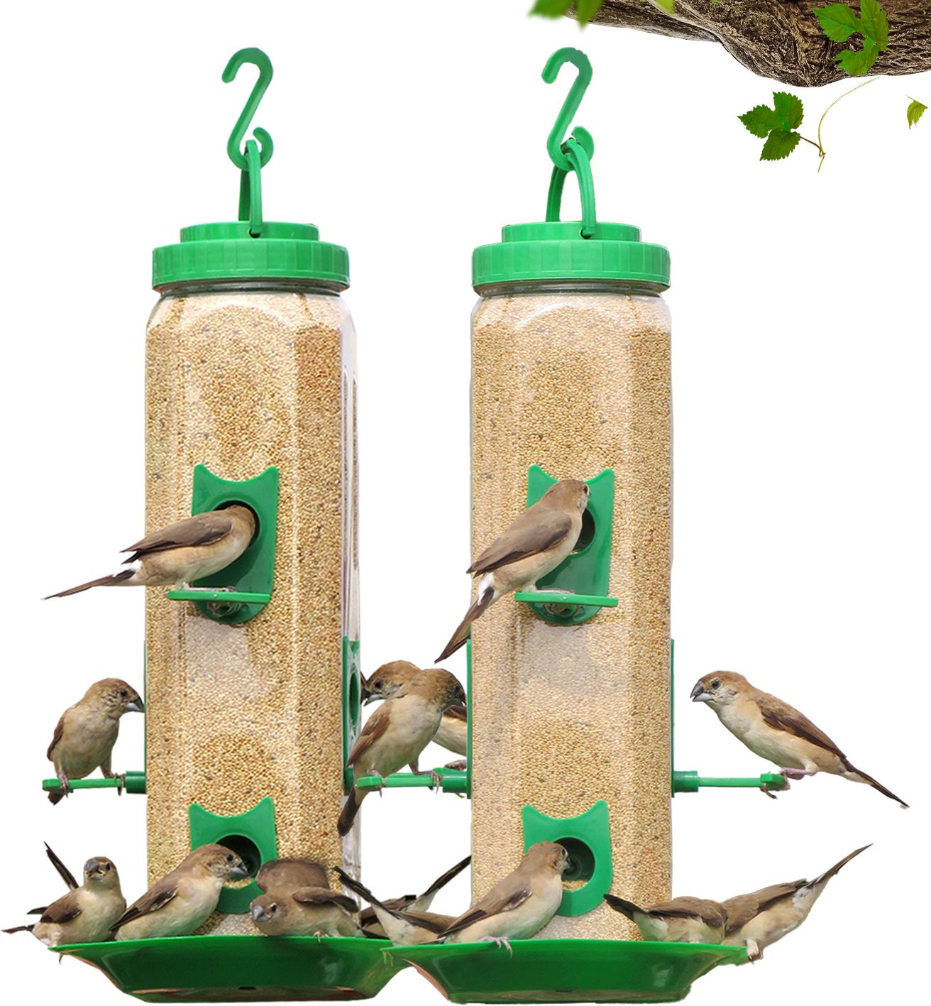 amijivdaya Ami Jivdaya Large hexagon shape Bird Feeder. Window Bird Feeder-picture-44