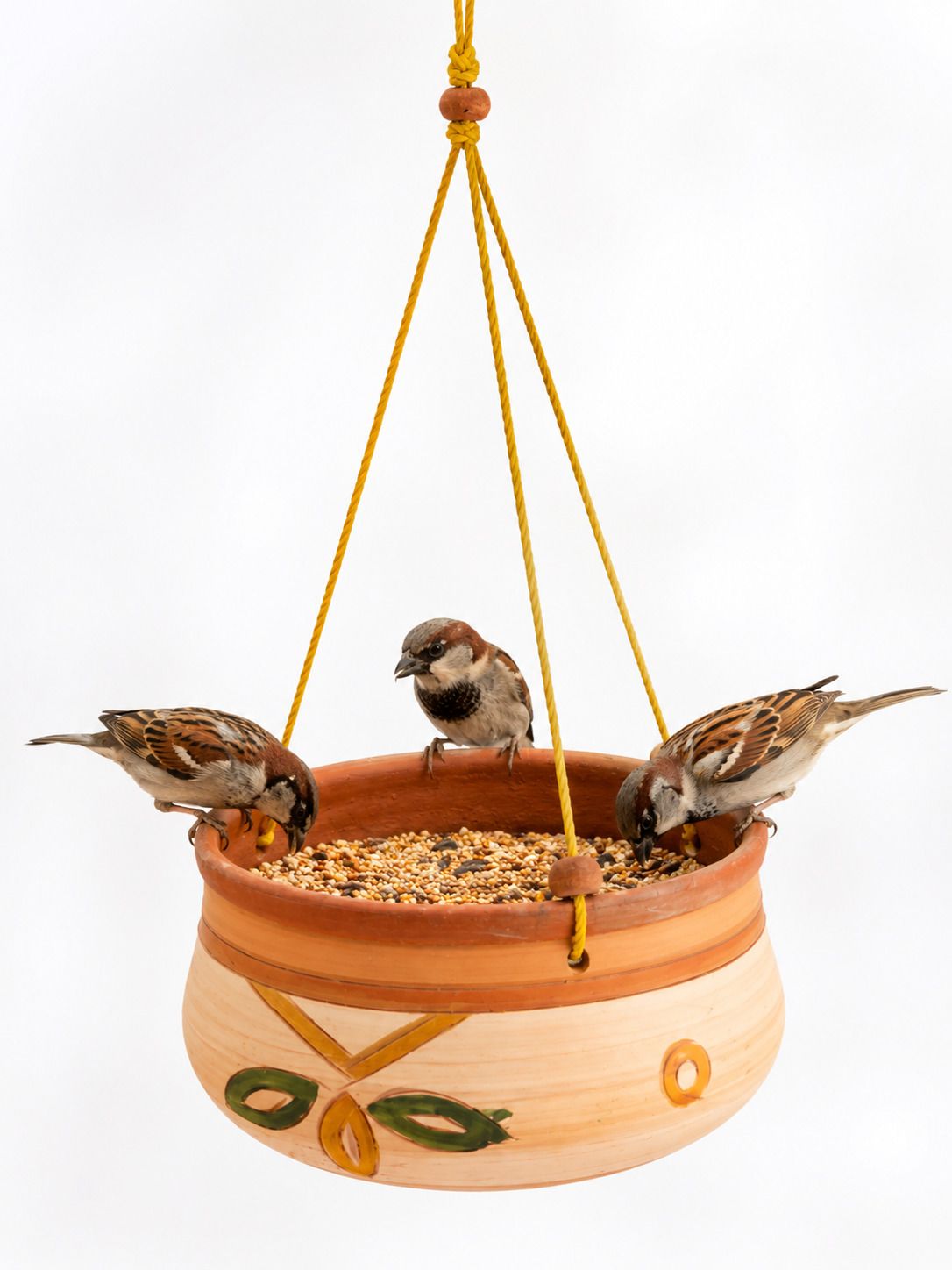 Common Bird Feeder-image-7