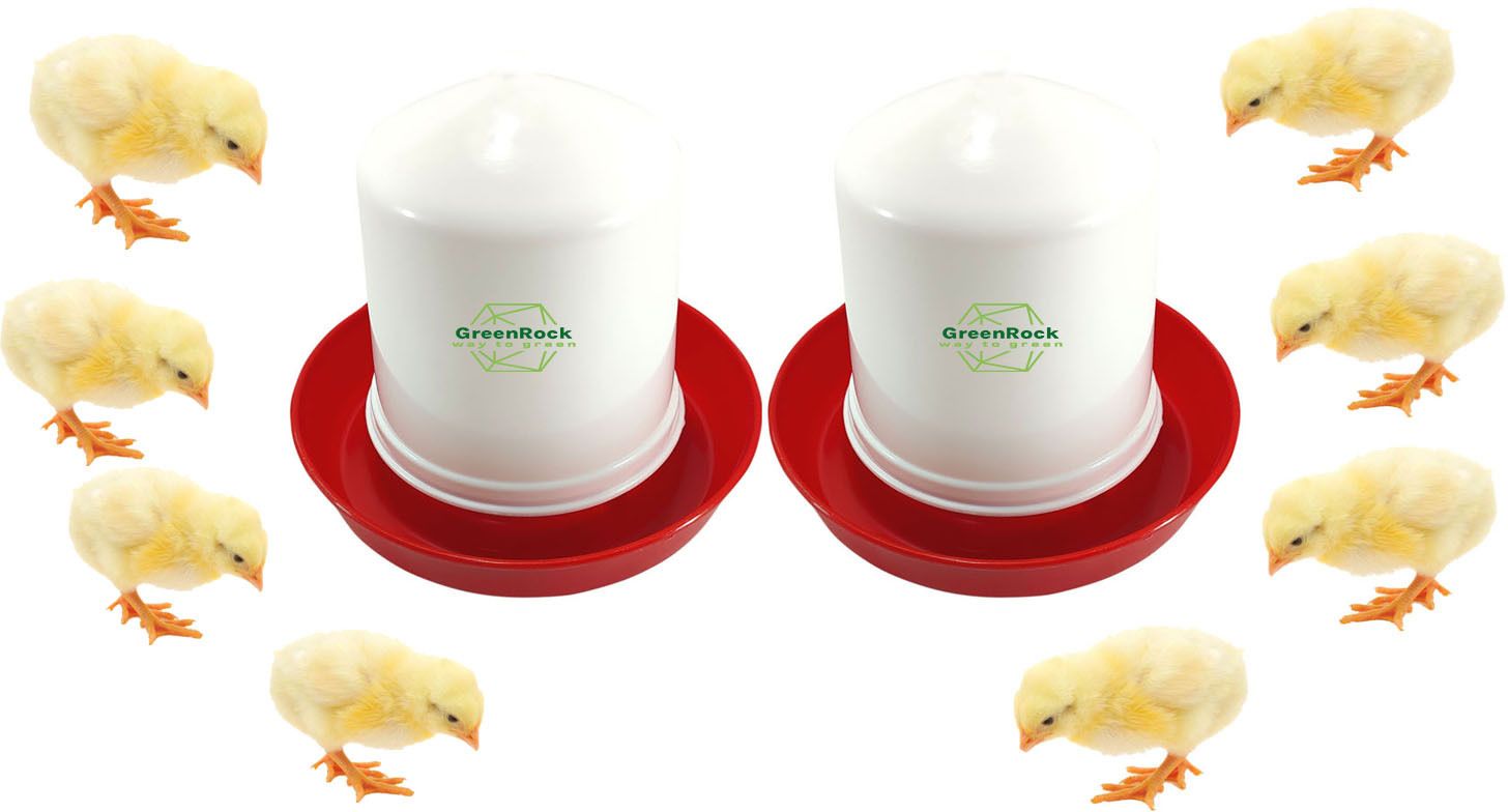 greenrock Chick & Quail Food Feeder & Drinker Combo 500 grams capacity (Pack Of 2) Common Bird Feeder-picture-28