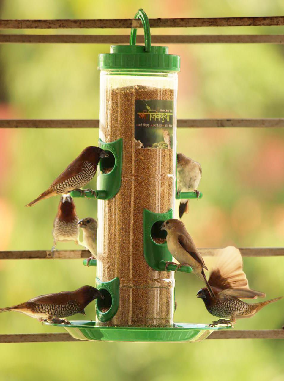 Large Tube Bird Feeder
