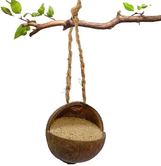 amijivdaya Natural Coconut Shell Bird Feeder | Eco-Friendly | Weather-Resistant Decor Platform Bird Feeder-picture-11