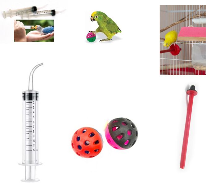 stmm Combo - Bird feeding syringe curved 12ml(1), Balls(2), Perch(1) Common Bird Feeder-picture-46