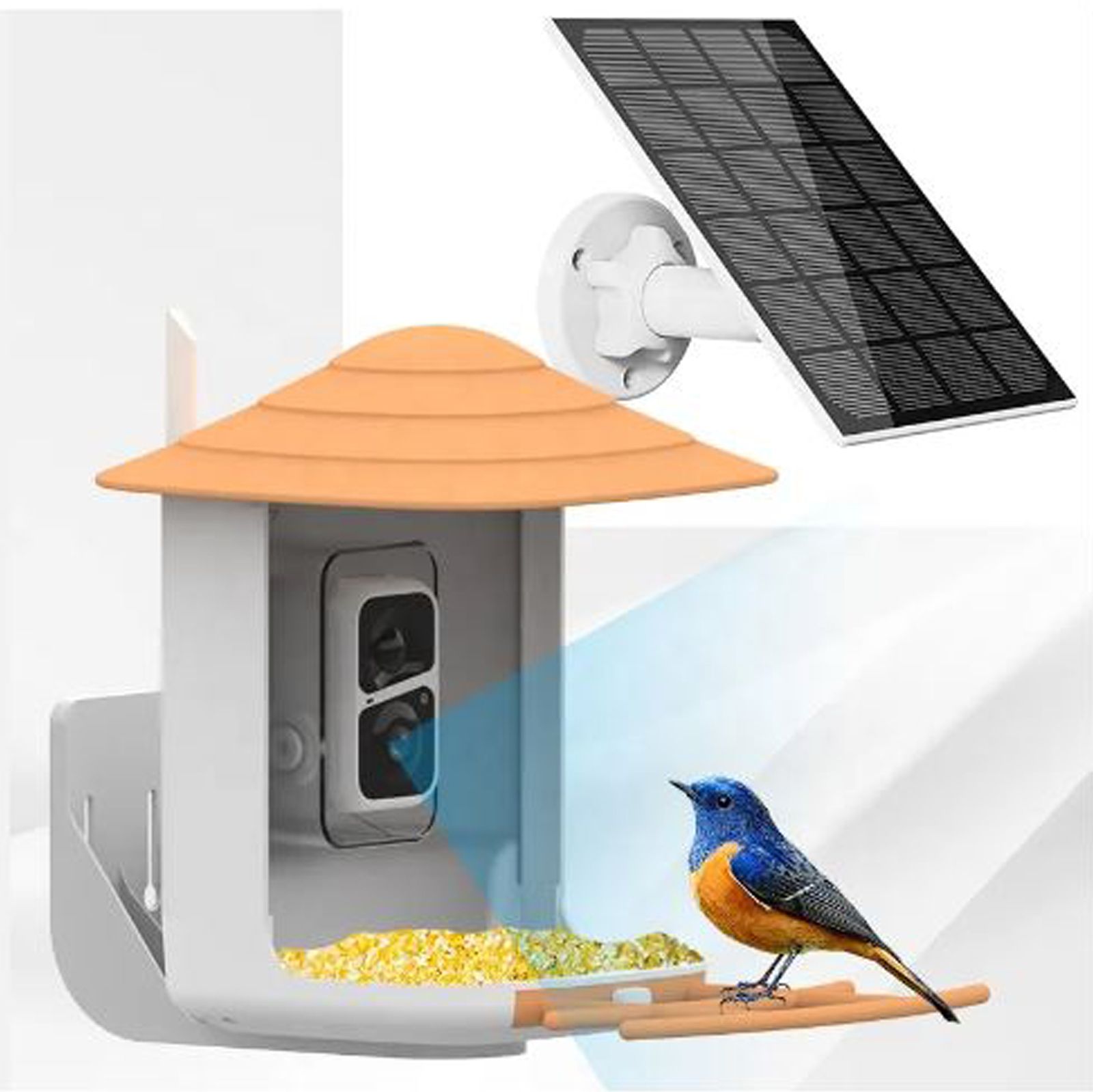 paxidaya Solar Powered with 2MP Camera Weatherproof | Smart | Outdoor Decor | Pack of 1 Window Bird Feeder-picture-11