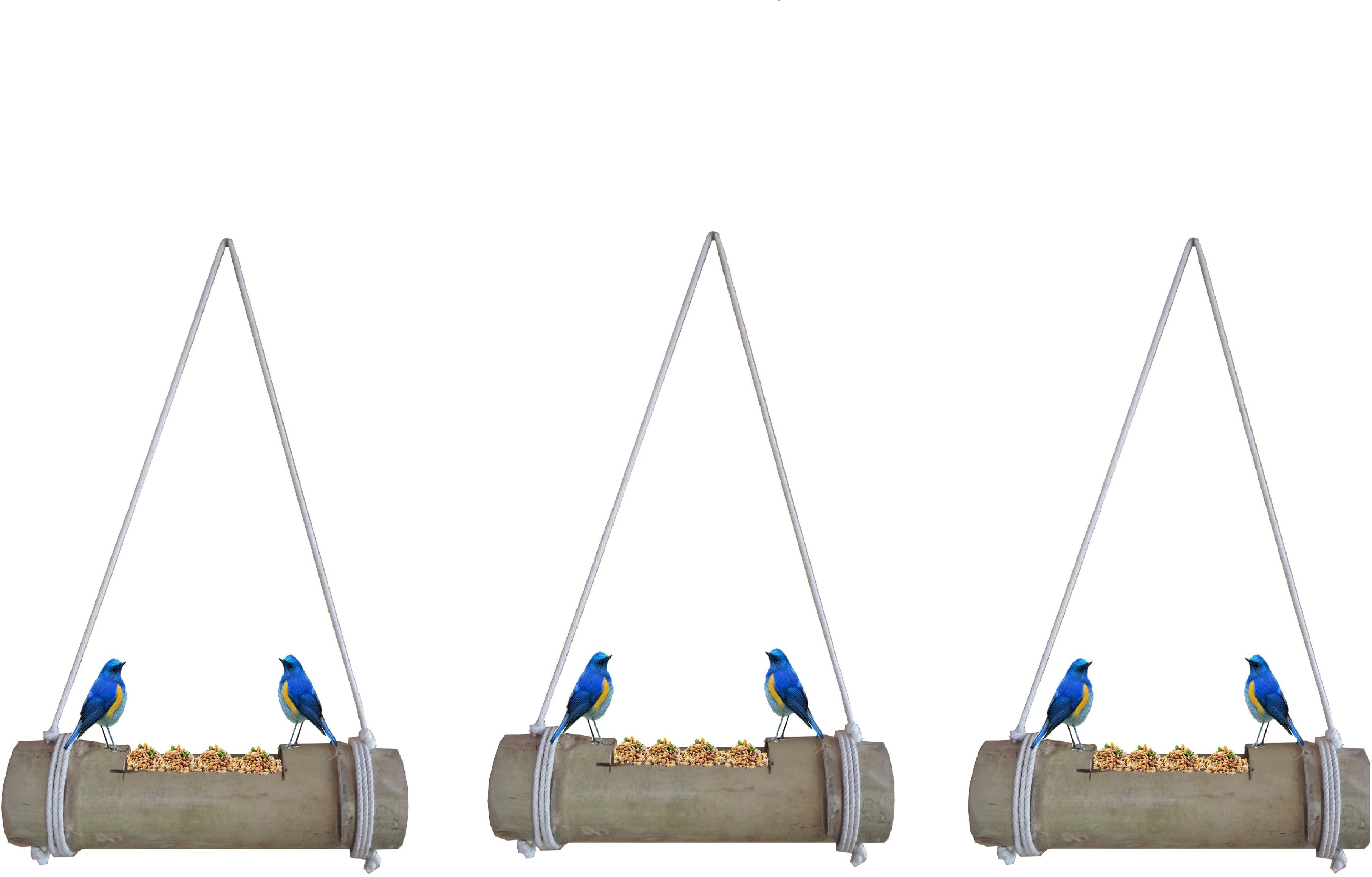 rare oceans Bird Feeder for Birds Natural Bamboo Made (Pack of 3) Window Bird Feeder Bird Feeder-picture-19