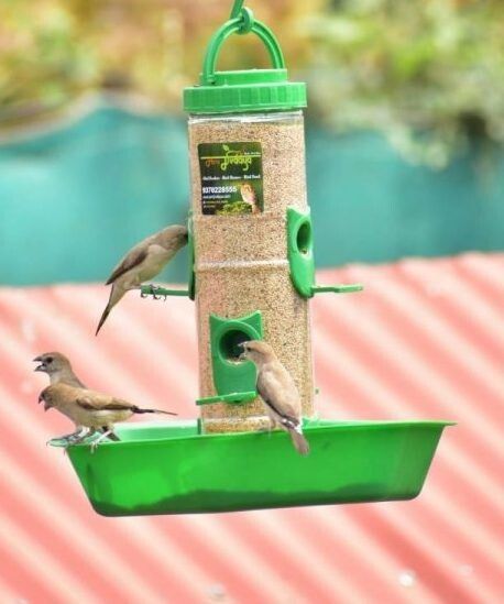 amijivdaya Ami Jivdaya Large Bird Feeder with Big Dish. Window Bird Feeder-picture-33