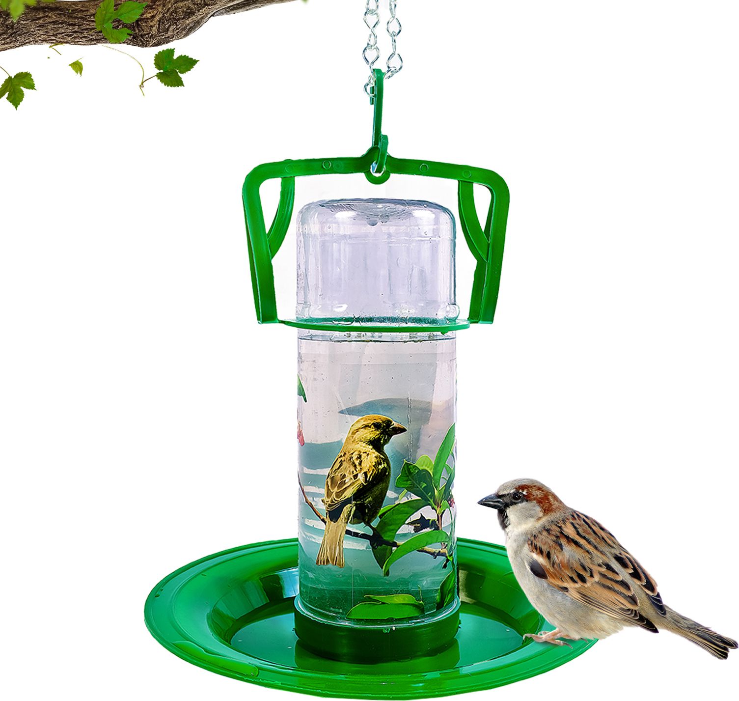 amijivdaya Window Bird Feeder Bird Feeder-picture-32