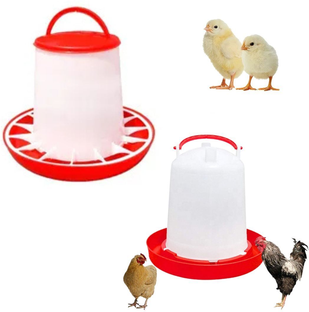 tm&w 3pluseA Window Bird Feeder-picture-29