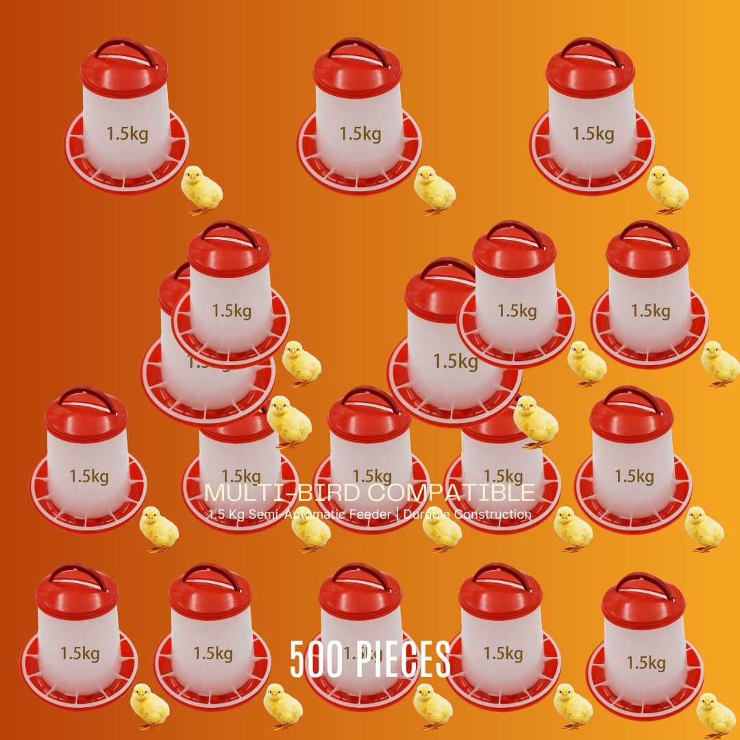 tm&w Durable 1.5KG Chicken Feeders Rust Resistant Semi-Auto 500 Pcs Set Window Bird Feeder Bird Feeder-picture-30