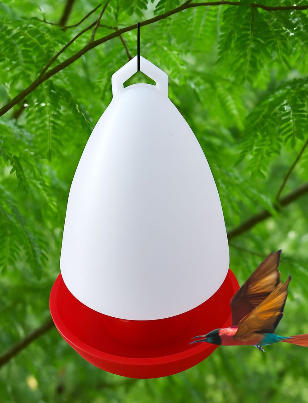 greenrock Birds,Chick,Quail Food Feeder & Drinker Balcony Cage Feeder 600gm (Pack Of 1) Common Bird Feeder-picture-21
