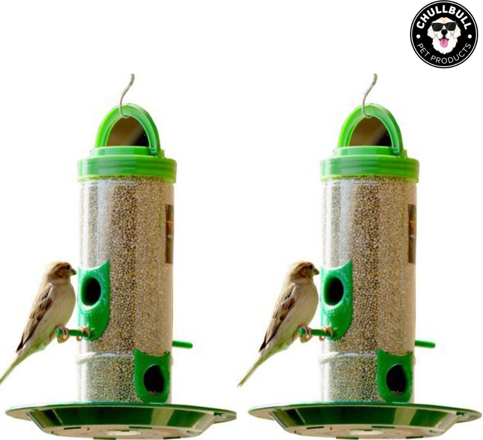 chullbull pet products Medium Food Feeder for birds Window Bird Feeder Bird Feeder-picture-26