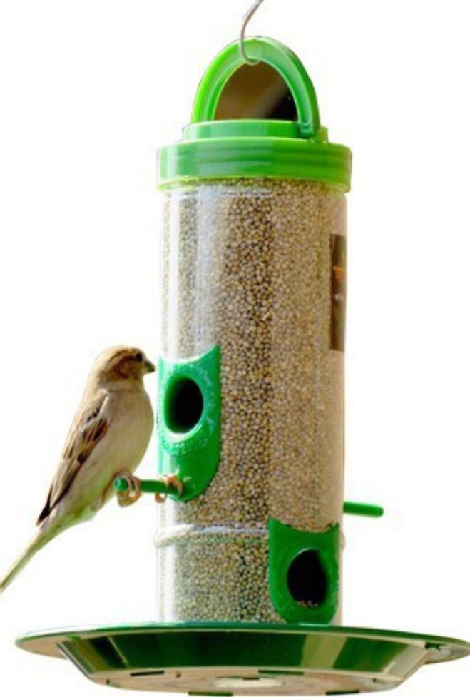 chullbull pet products Medium Food Feeder for birds Window Bird Feeder Bird Feeder-picture-11