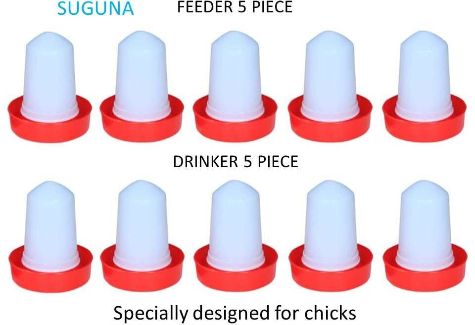 suguna [pack of 10]feeder(5) and drinker(5) for poultry and birds indoor and outdoor Ground Bird Feeder-picture-14