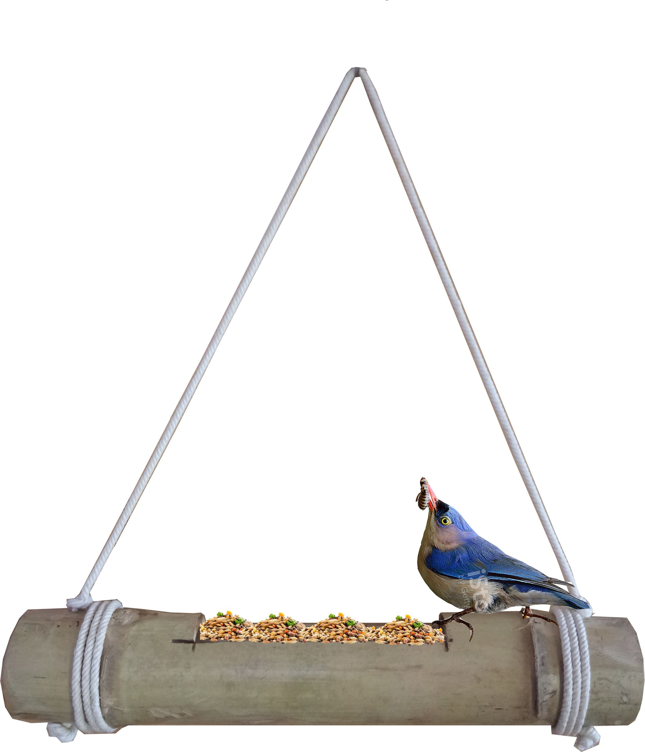rare oceans Window Bird Feeder Bird Feeder-picture-17
