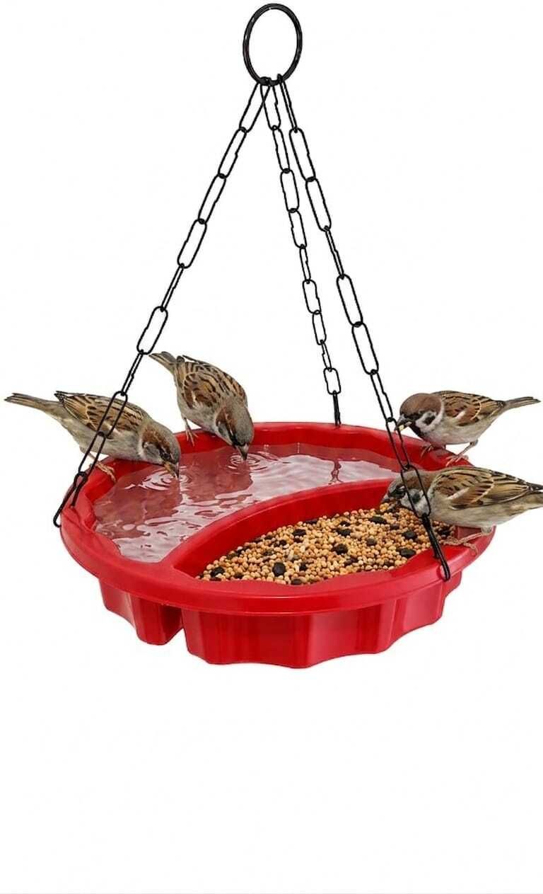 chidiana CBF005 Tray Bird Feeder-picture-17