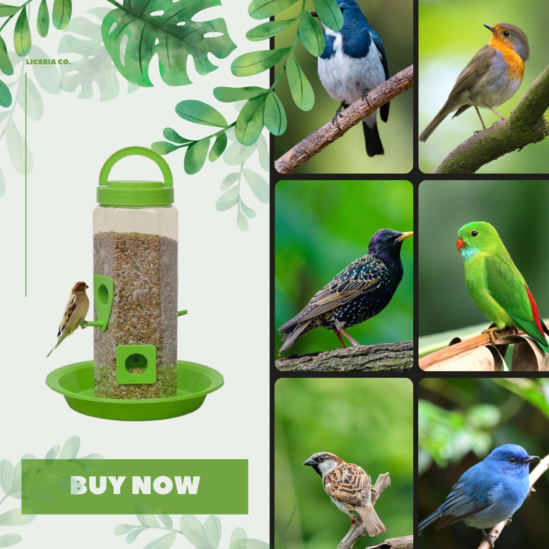 somanath sales 01 Window Bird Feeder-picture-39