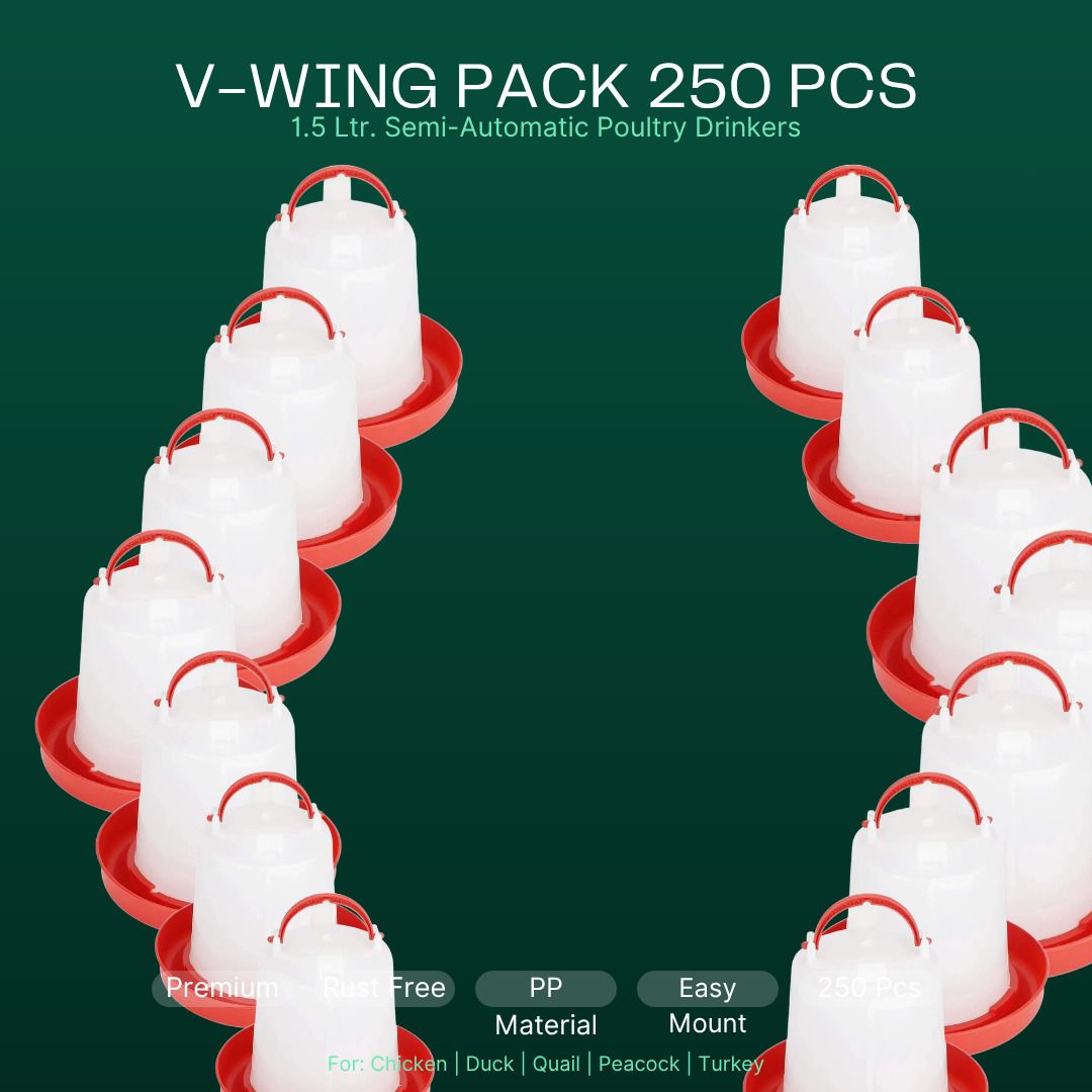 tm&w Durable 1.5L Poultry Farming Drinkers 250Pcs Rust Proof Easy Install Common Bird Feeder-picture-44