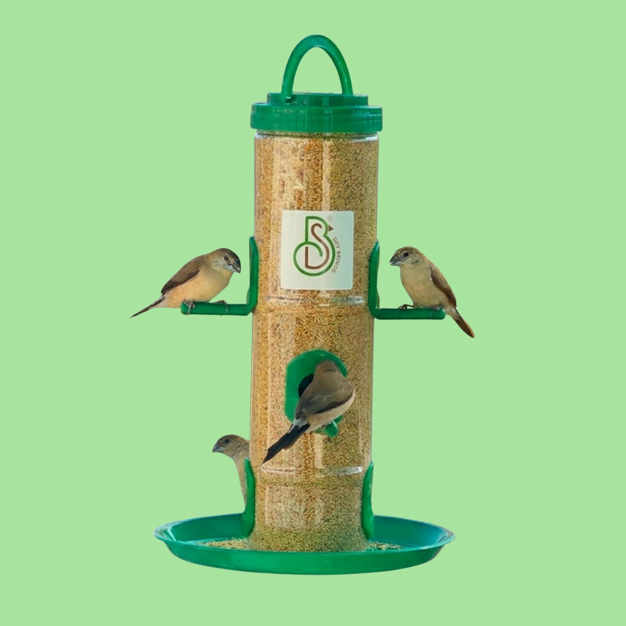 skybeings Transparent Hanging Bird Feeder for Outdoor Living Window Bird Feeder-picture-43