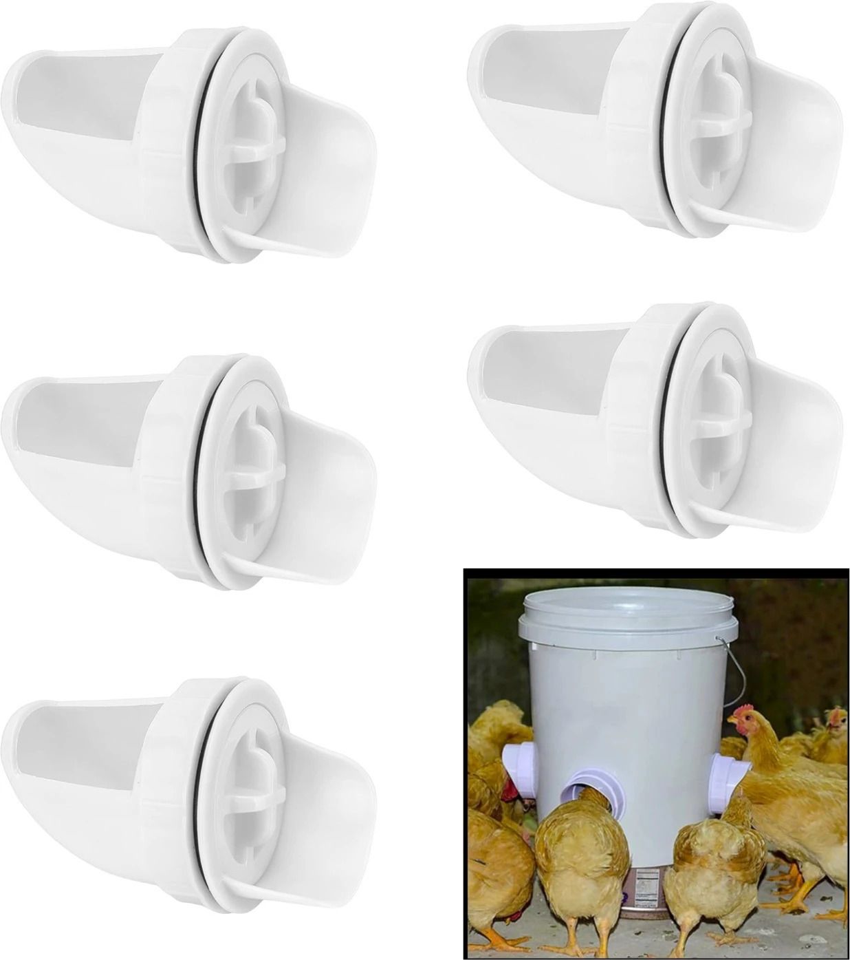cj farms and agritech DIY Gravity Chicken Feeder Pack 5 Squirrel Proof Feeders Bird Feeder-picture-13