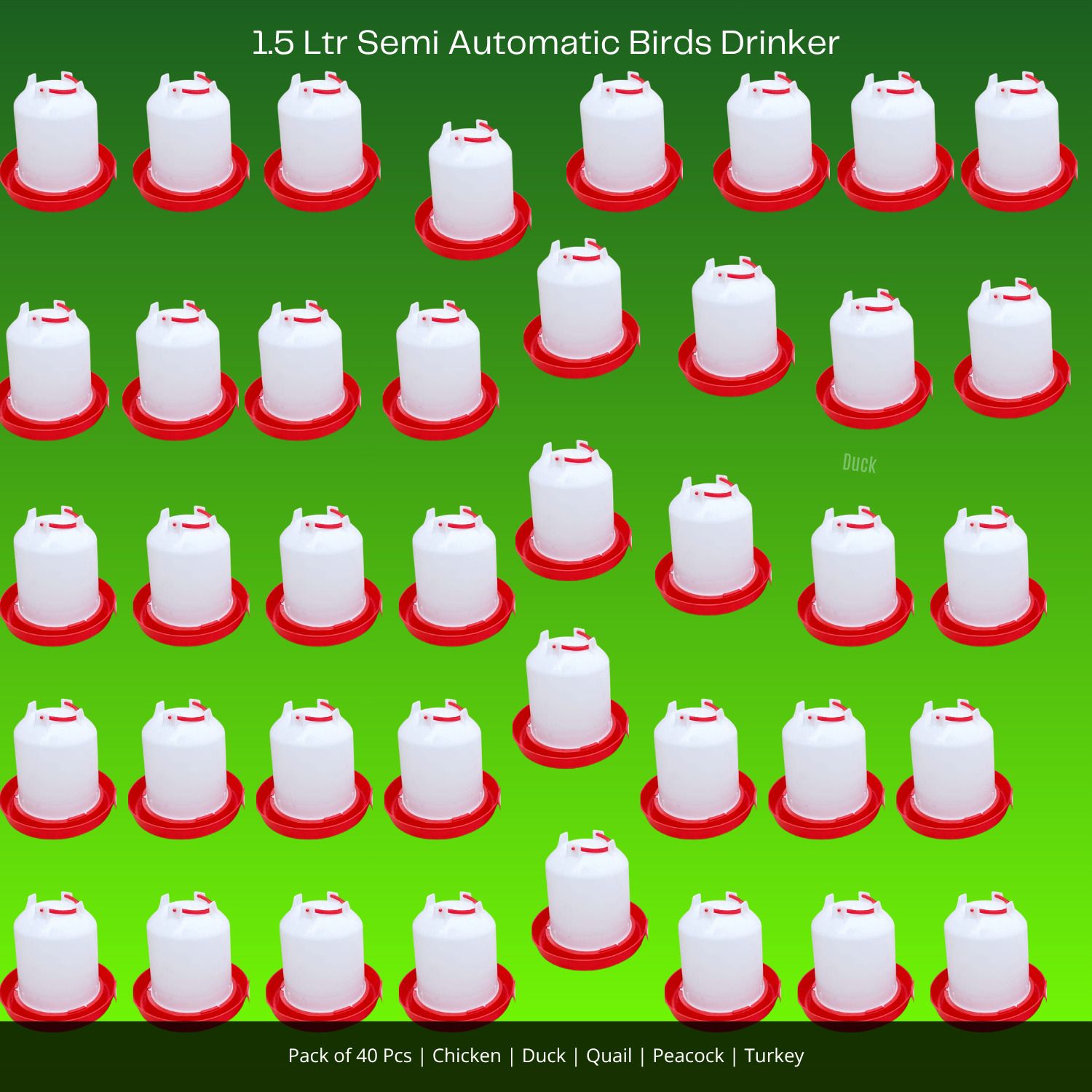 tm&w Durable Poultry Drinker 1.5 Ltr 40 Pcs Easy Mount Premium PP Material Window Bird Feeder Bird Feeder-picture-18
