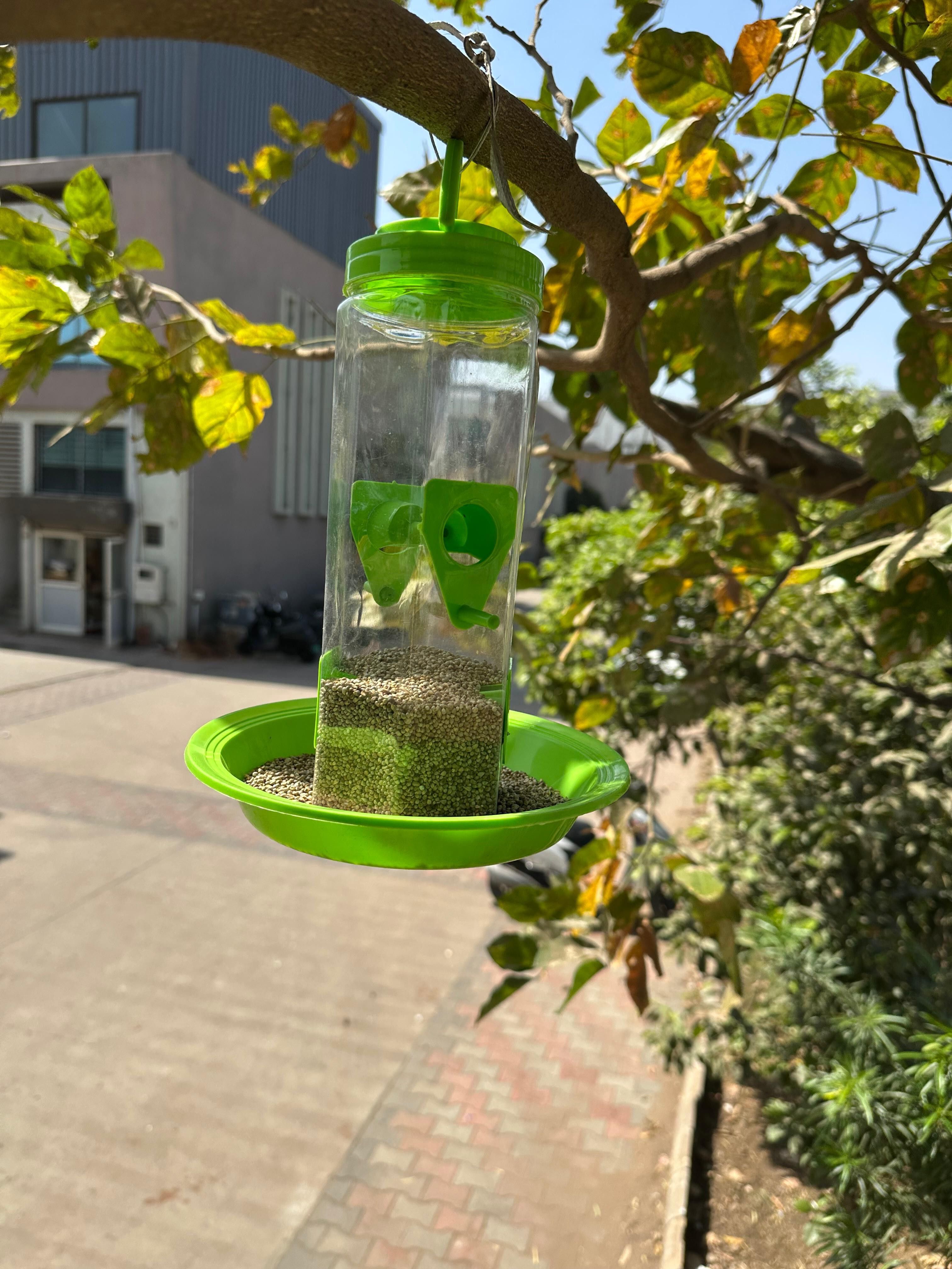 awestar incorporation Window Bird Feeder Bird Feeder-picture-45