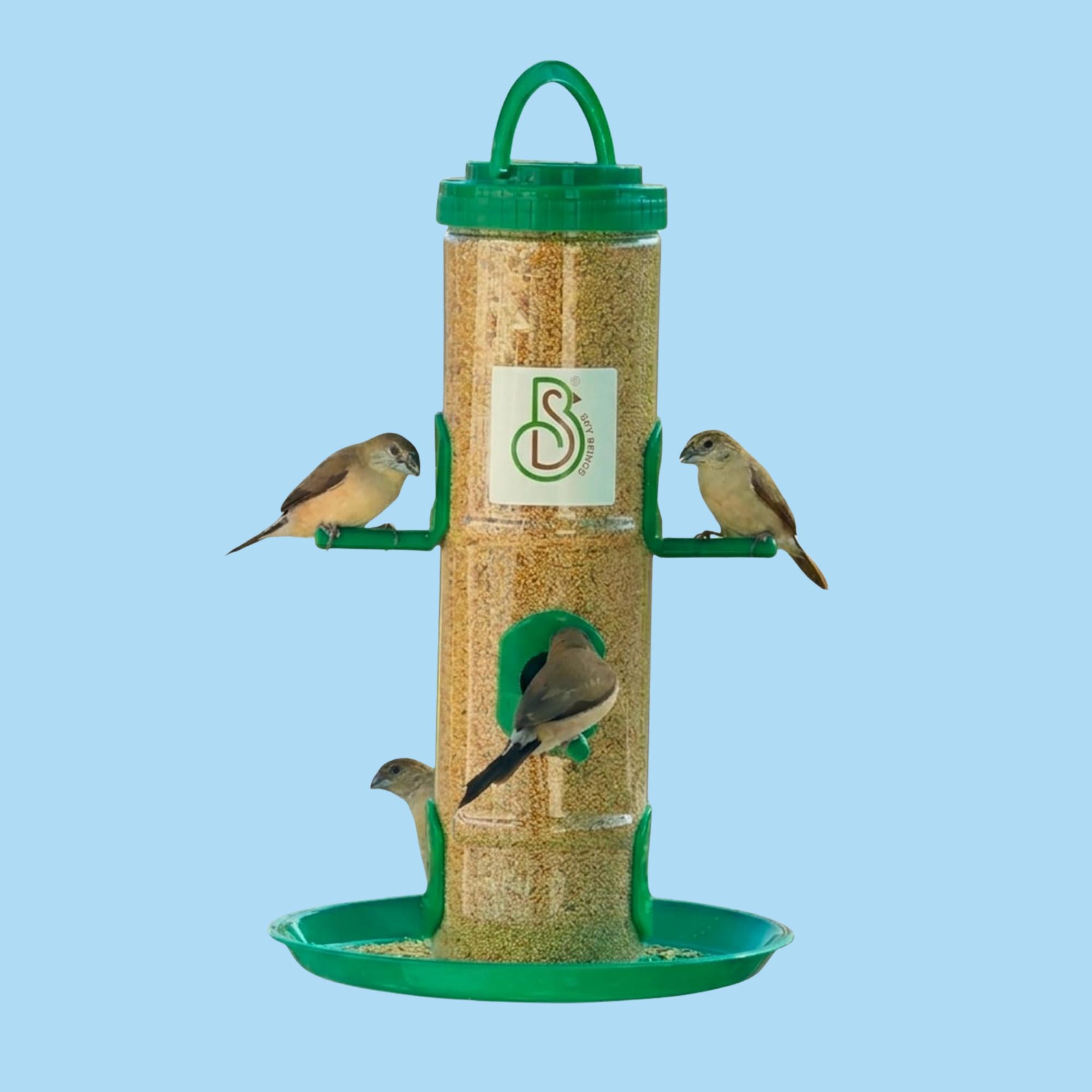 skybeings Heavy-Duty 1kg Bird Feeder with 6 Feeding Ports Window Bird Feeder-picture-17