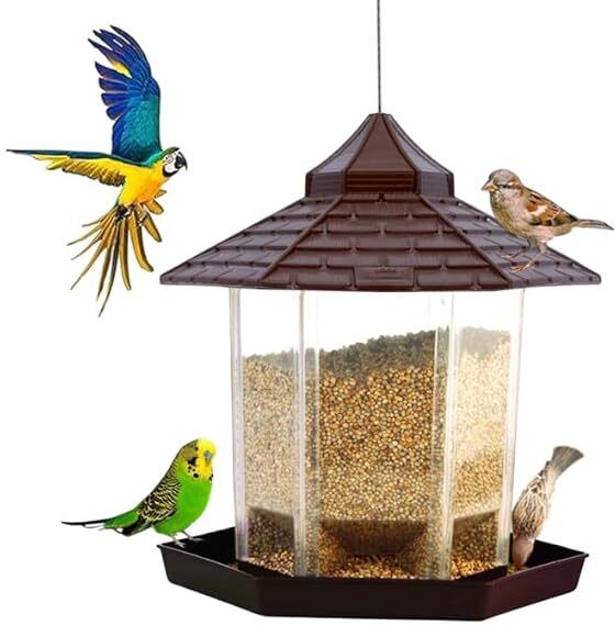 Hut Shape Bird Feeder with 360° Perch, Transparent Grain Holder, 1-Mtr SS Wire Common Bird Feeder