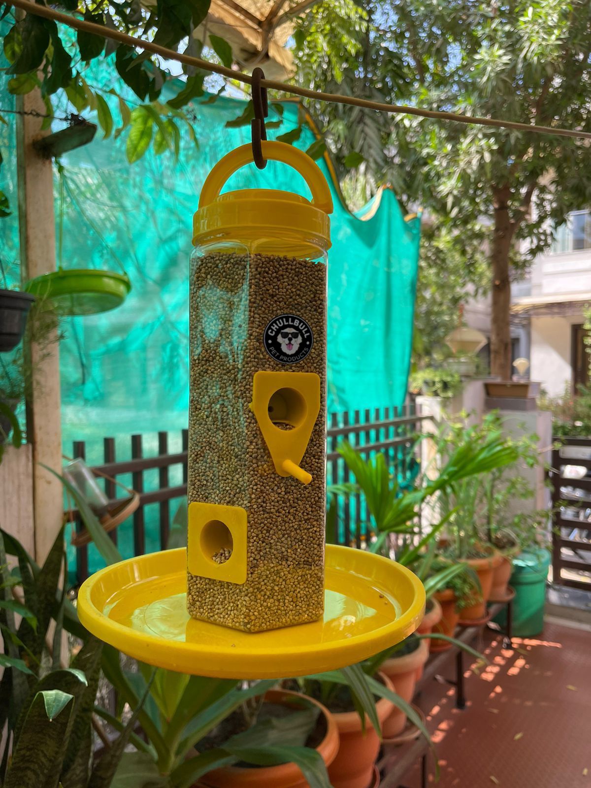 chullbull pet products Food Feeder for birds/ Sparrow feeder Window Bird Feeder Bird Feeder-picture-13