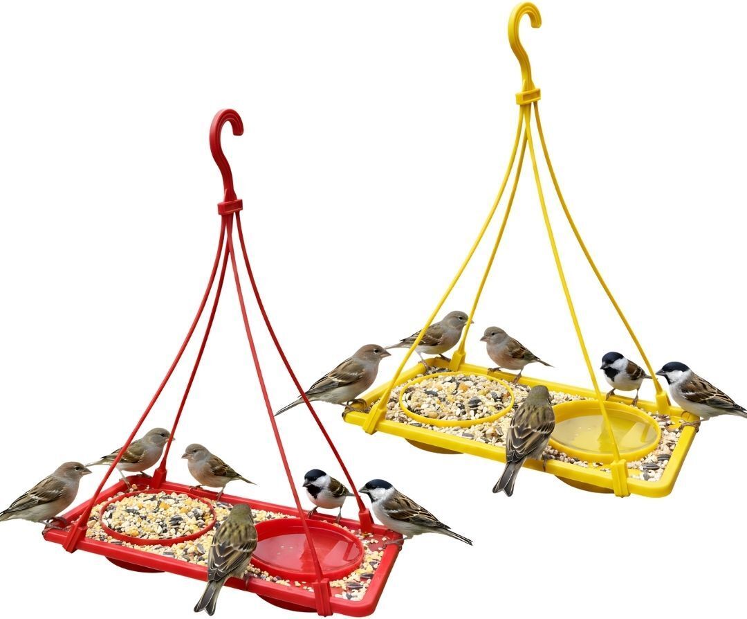 wellwings 2-in-1 Dana Pani Bird Feeder Tray for Balcony Window Bird Feeder Bird Feeder-picture-14