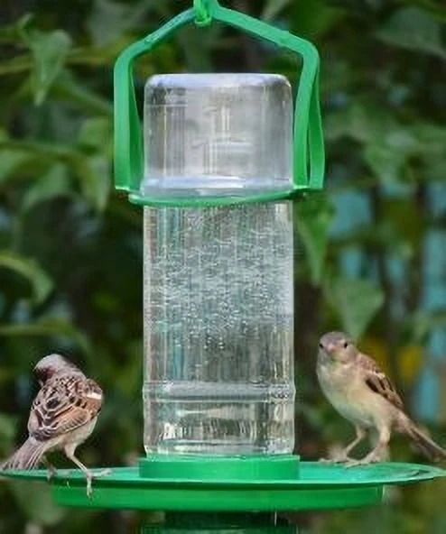dataart Automatic water feeder for bird Window Bird Feeder Bird Feeder-picture-34