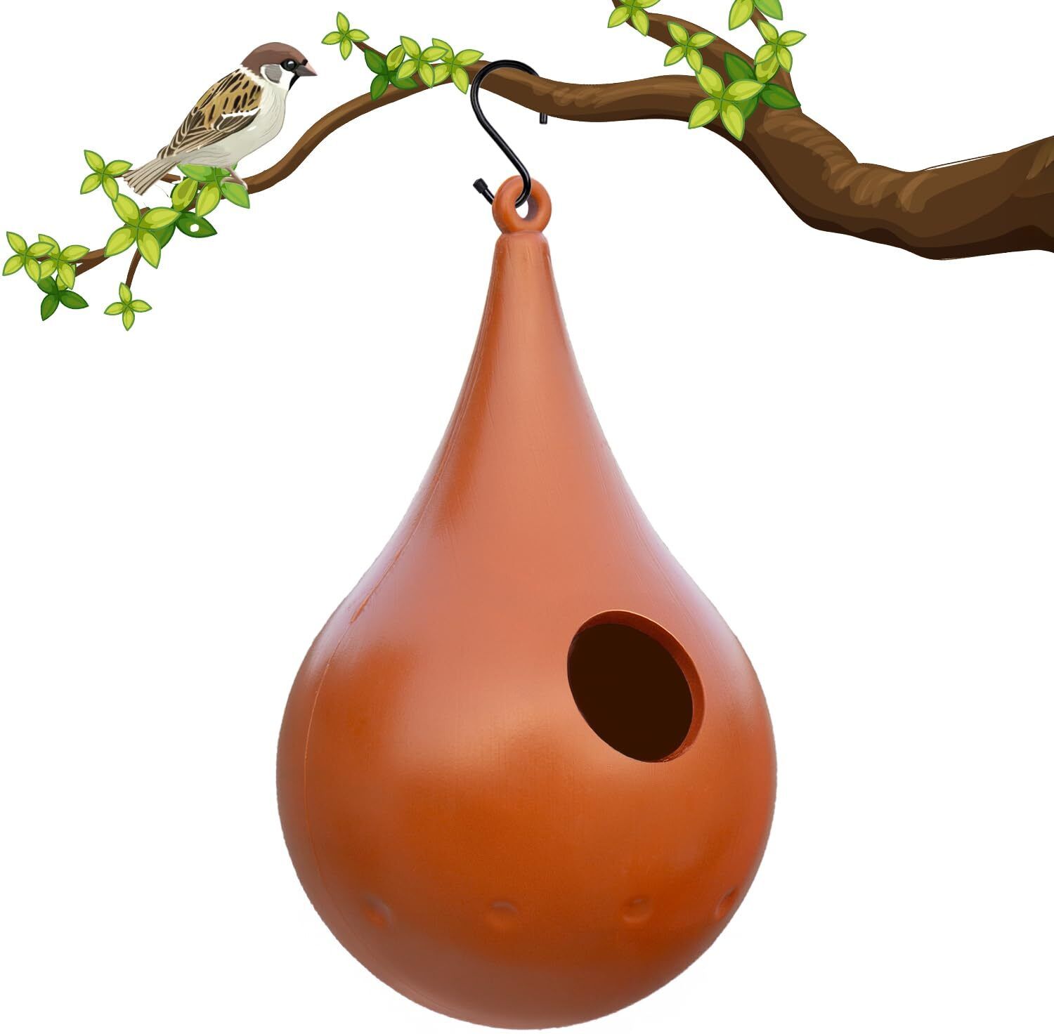 birdshala Hanging Bird House for Small Birds | Sparrow Nest Box with Drainage Hole Bird House-picture-18