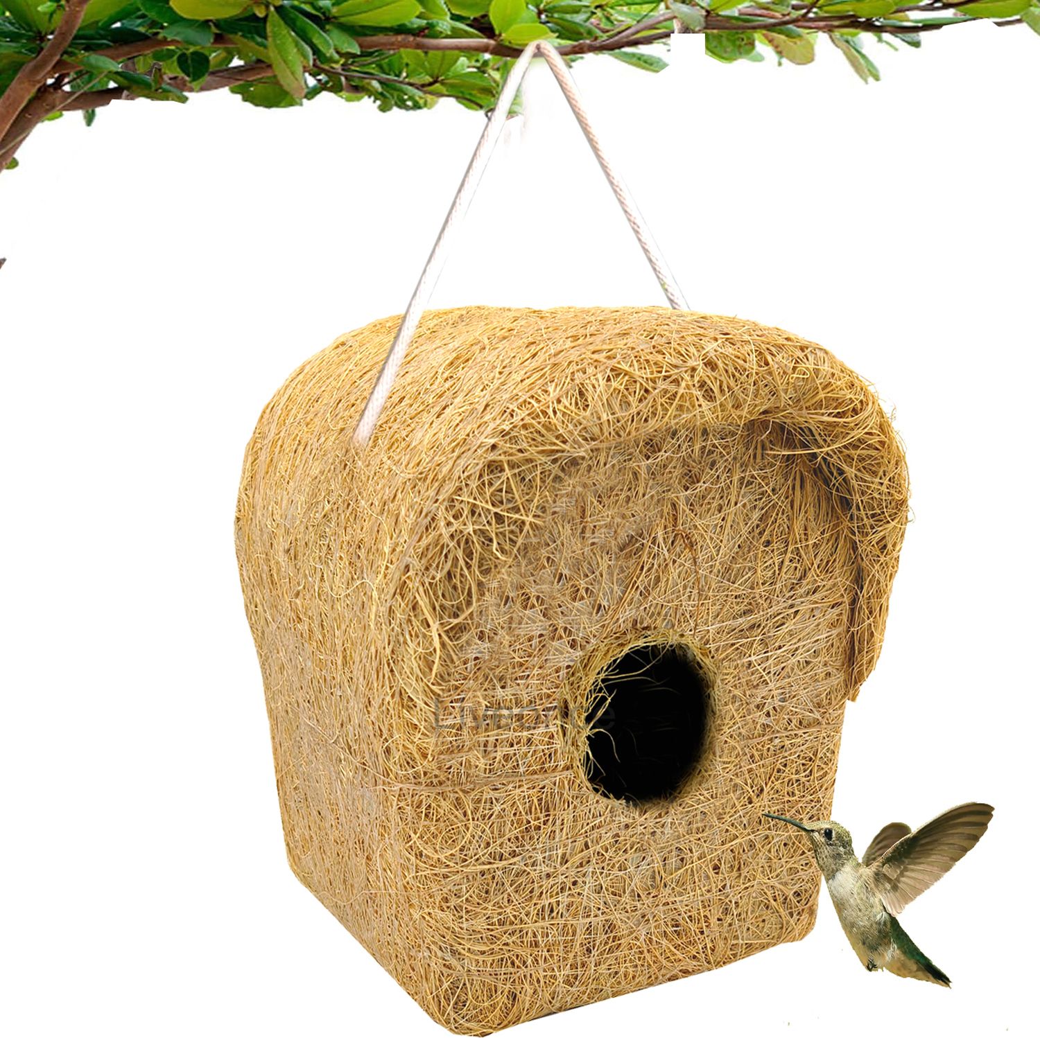 liveonce NATURAL BIRD HOUSE FOR ALL SPECIES BIRDS, SQUARIEEL pack of 1 Bird House-picture-18