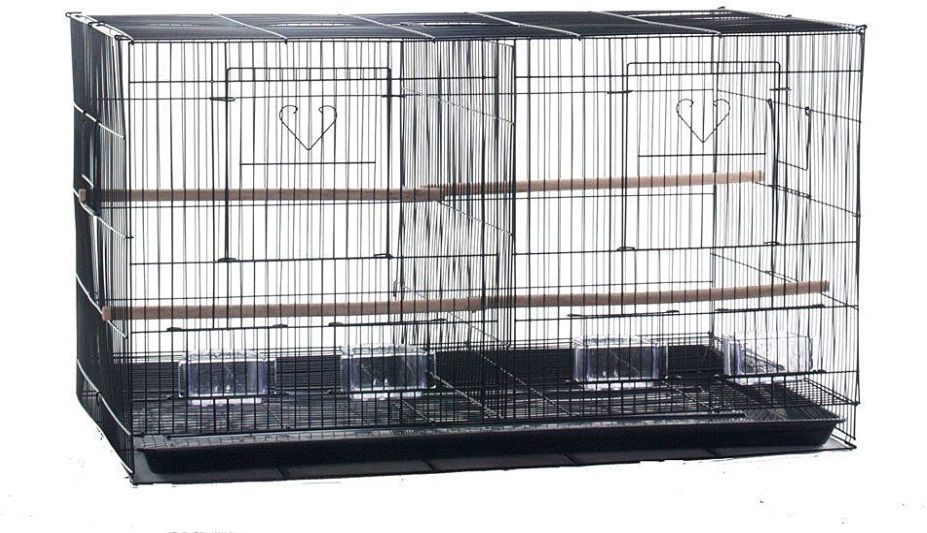 devis techonology 2 Feet - Black Partition Bird cage Suitable for All Small Birds Bird House-picture-22
