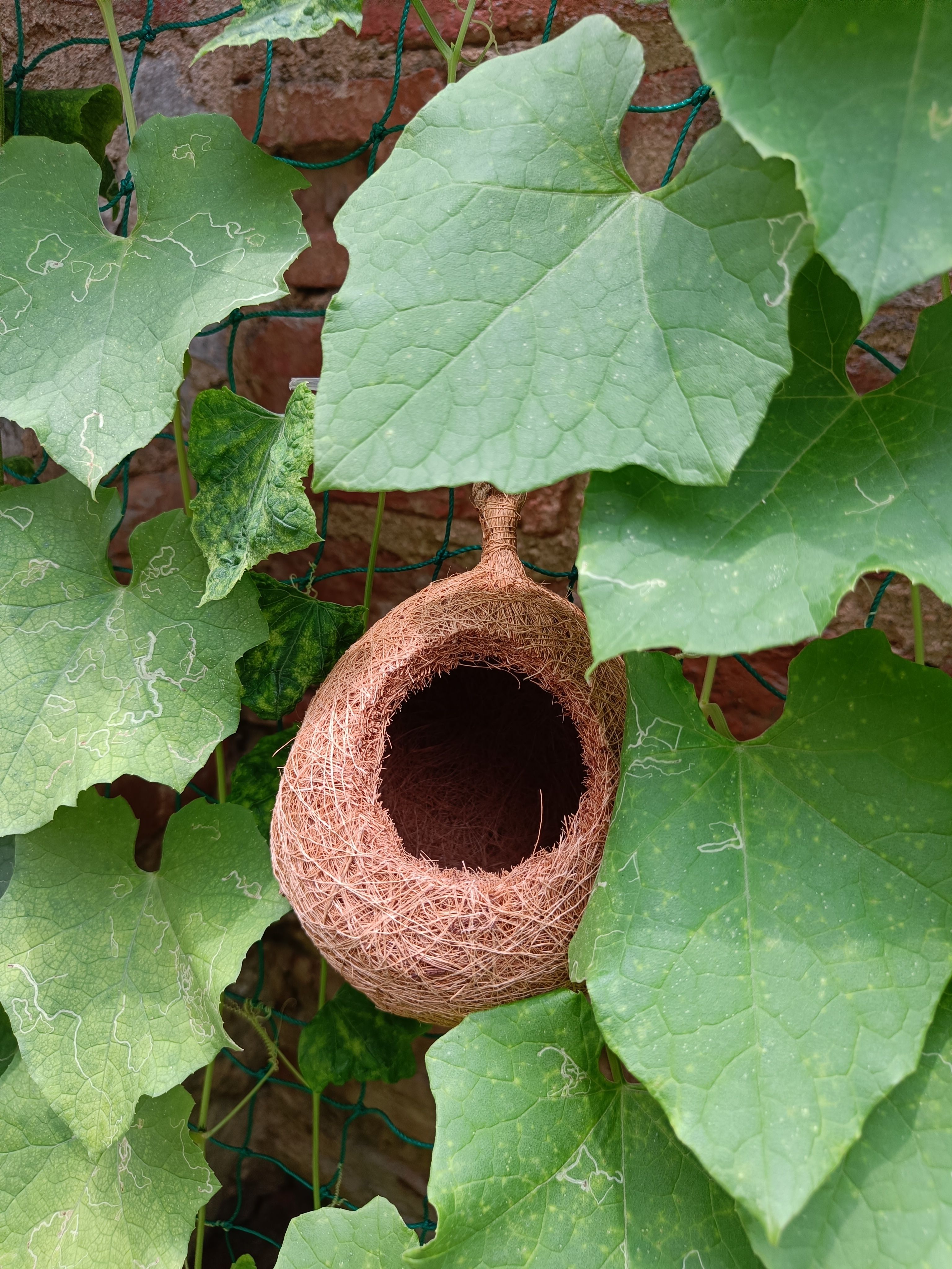 omiyage Jute Round Nest – Soft, Eco-Friendly Retreat for Tiny Birds Bird House-picture-18