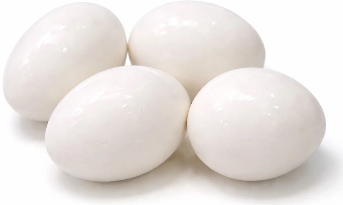 vishnusons Pigeon Dummy Eggs Set of 5 EGGS Reusable Artificial Eggs for Pigeons Bird House-picture-16