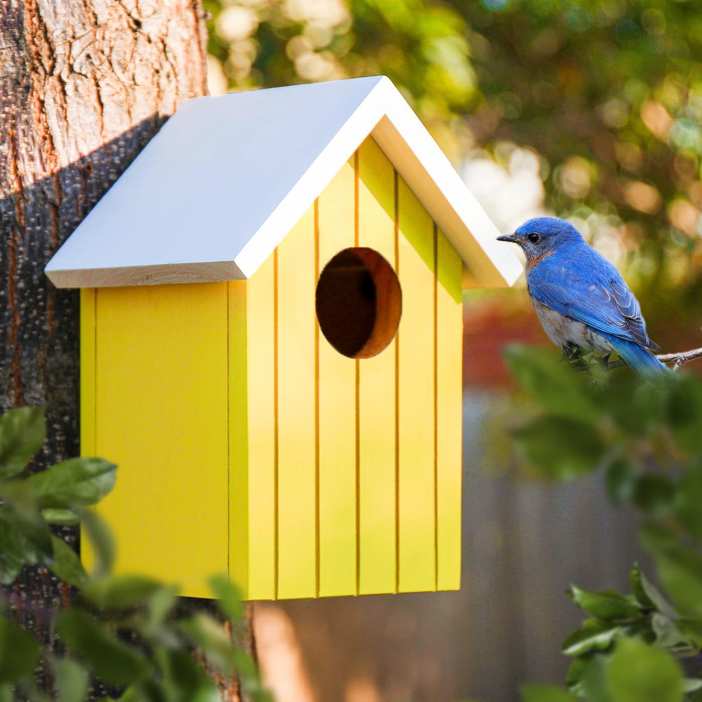 birdshala Wooden large Bird House for Sparrow, Bulbul, Budgies, Wild birds & Pet birds Bird House-picture-20