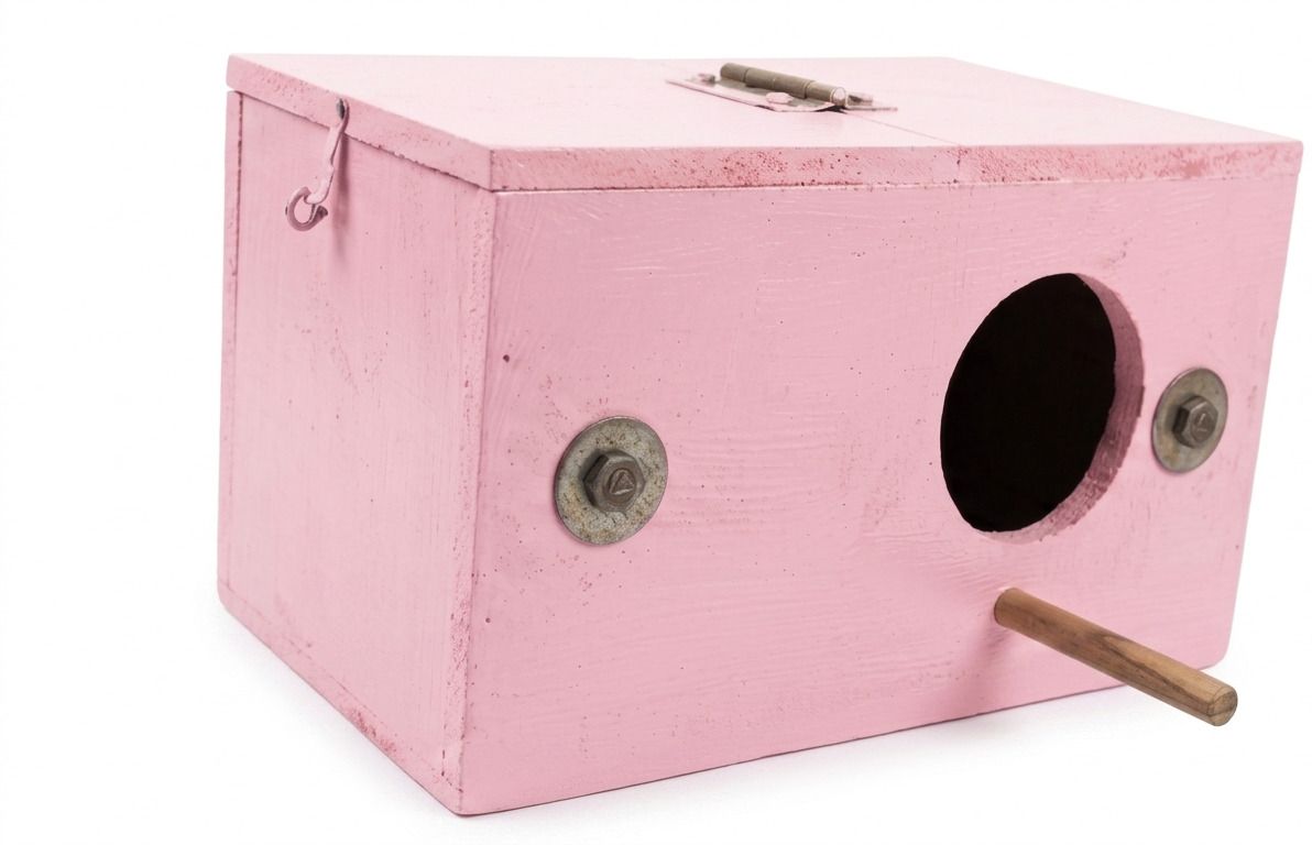 shree ganga enterprise Breeding Box for zava zinbra finches love bird size 9*6*6 inch Bird House-picture-45