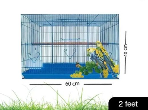 2FEET BLUE CAGE Bird House-image-14