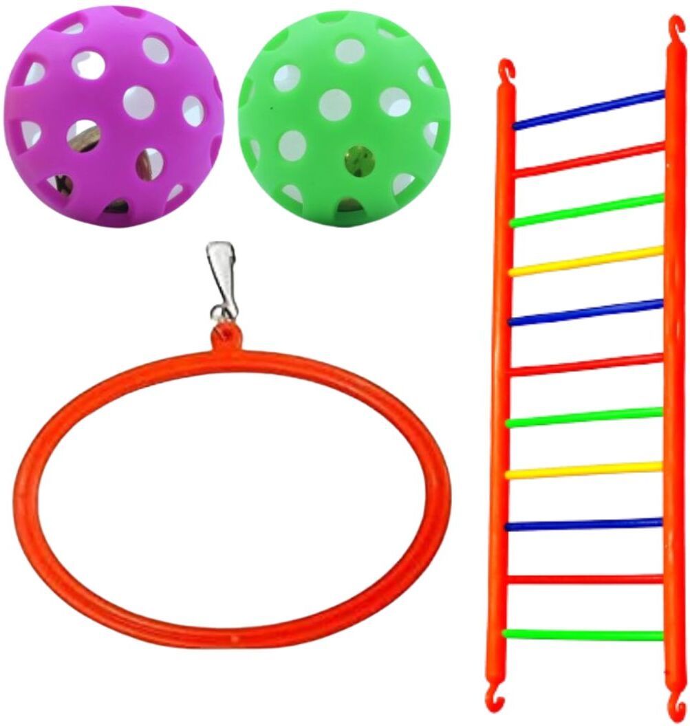 shanvi Multicolor Birds Cage accessories Ladder 1, Ball 2, Oval 1 Toys for Pets Bird Play Stand-picture-15