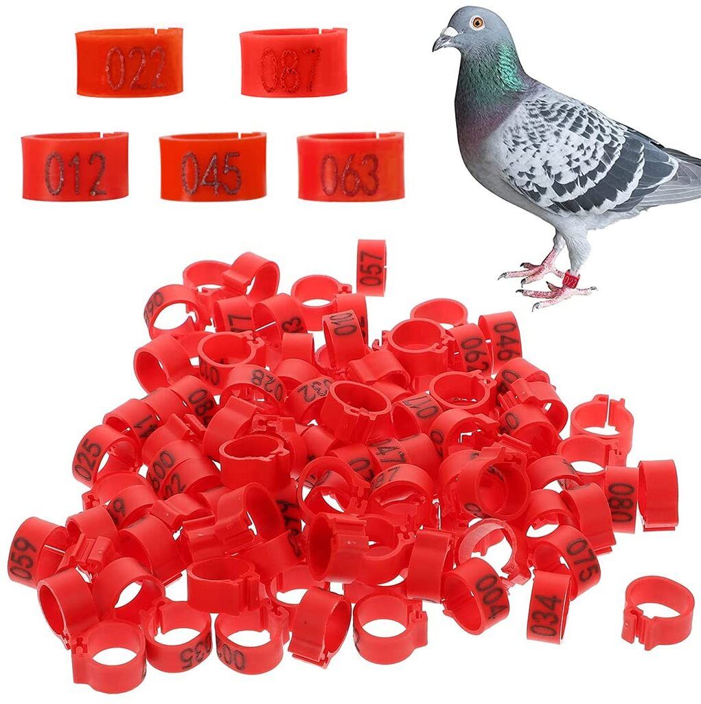 Bird Leg Rings Set of 100 Pcs Bird Shoulder Guard-image-4