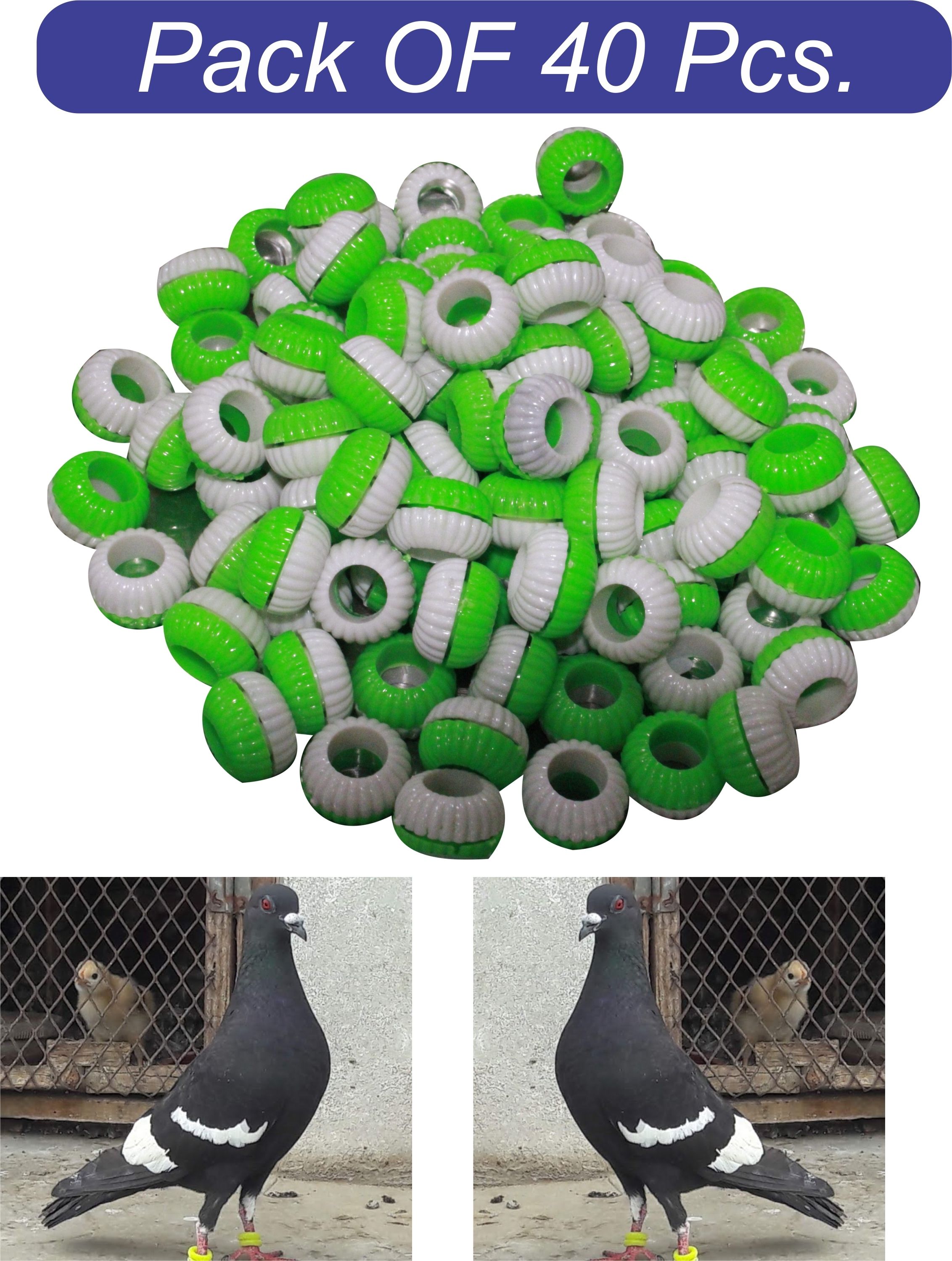 s.blaze Multicolor Sound Plastic Foot Ring Green+White 40 Pcs Bird Shoulder Guard-picture-18