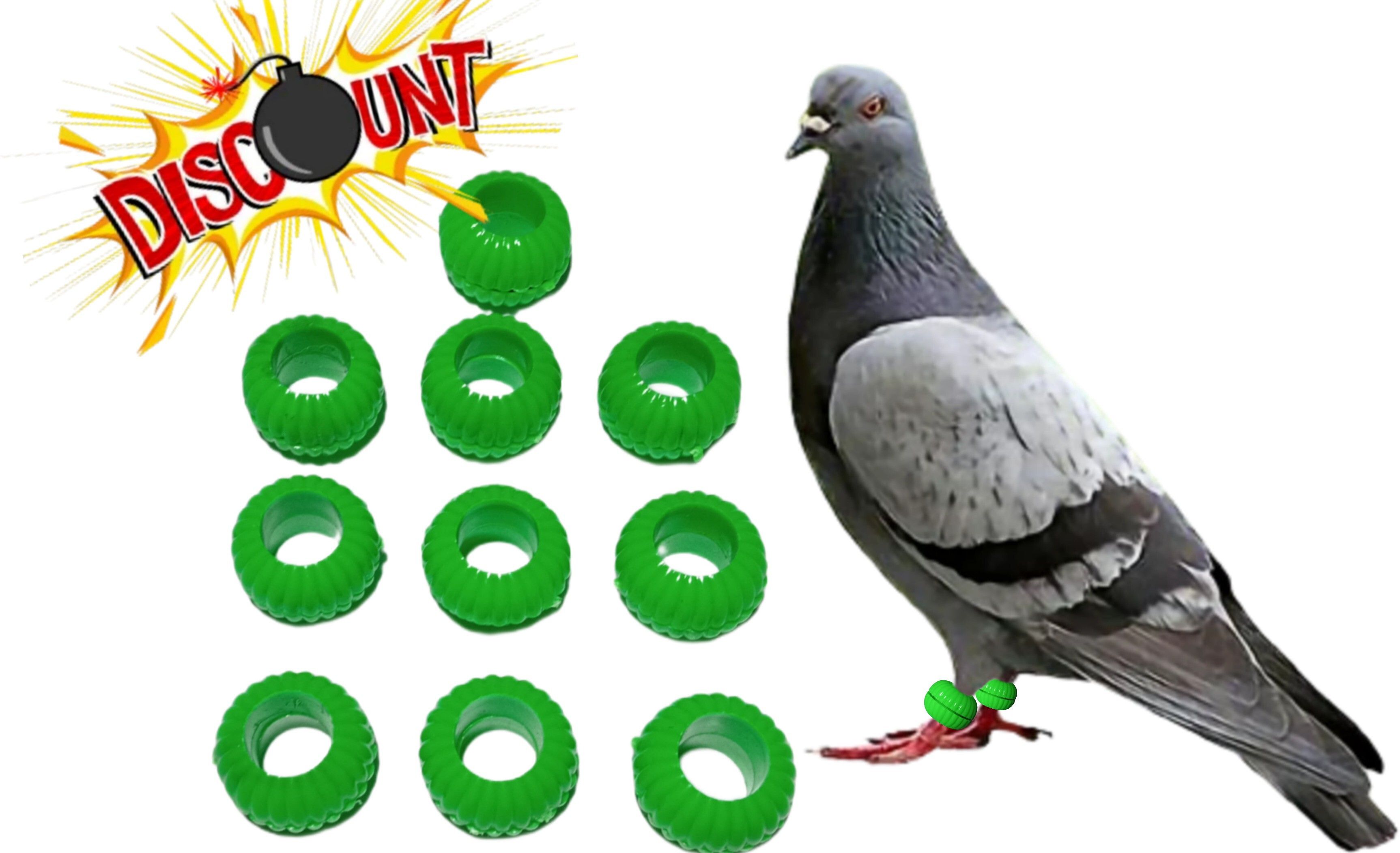 deshraj enterprises Pigeon Foot Sound Rings Pack Of 10 Green Bird Shoulder Guard-picture-14