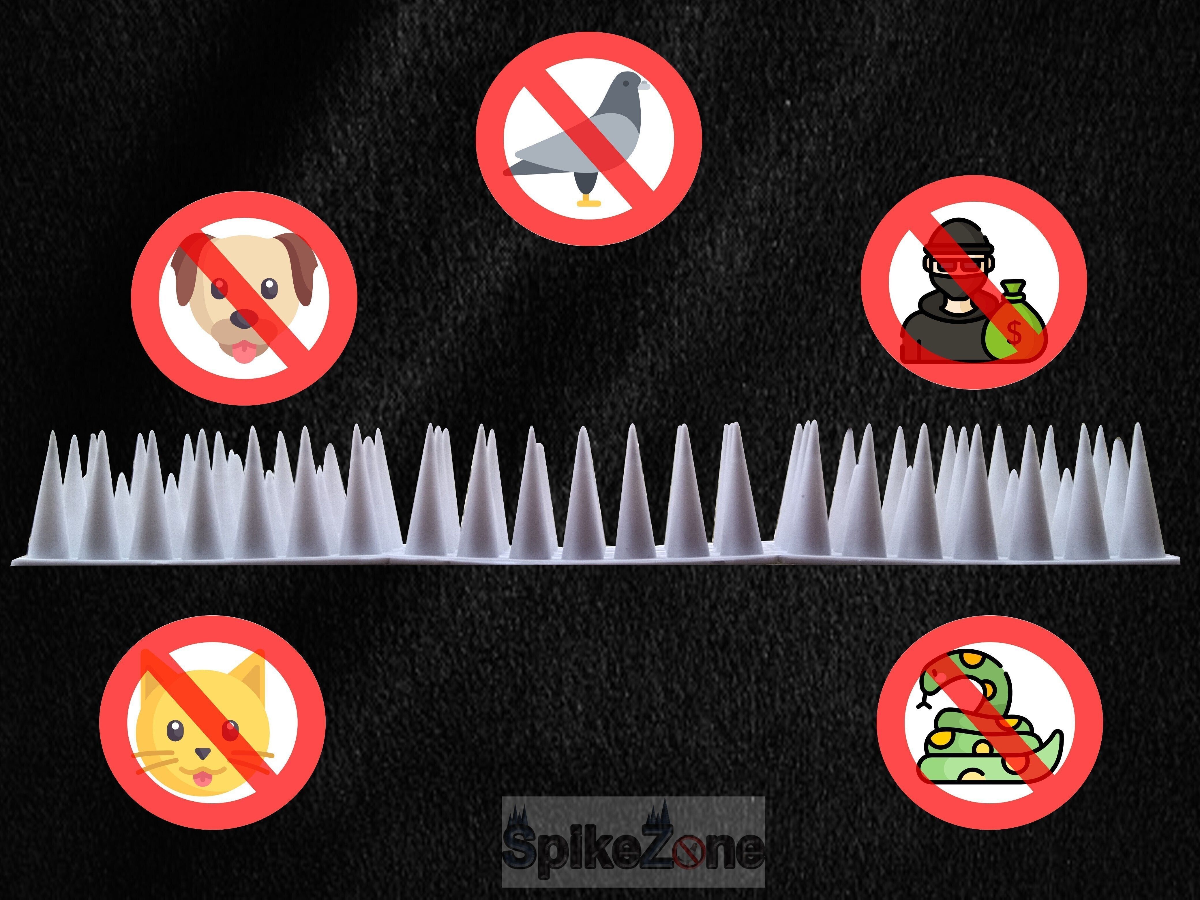 hoodwin Bird Spike-picture-12