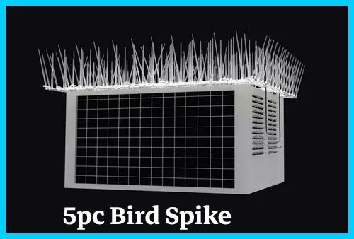 spikezone Bird Spike-picture-12
