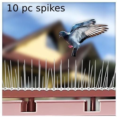 sigs Bird Spike-picture-26