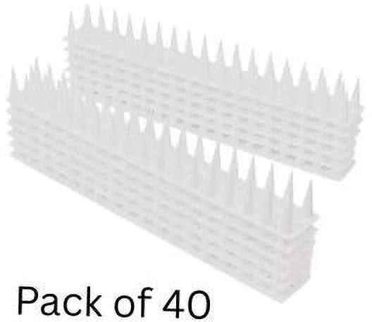 spikestore Bird Spike-picture-11