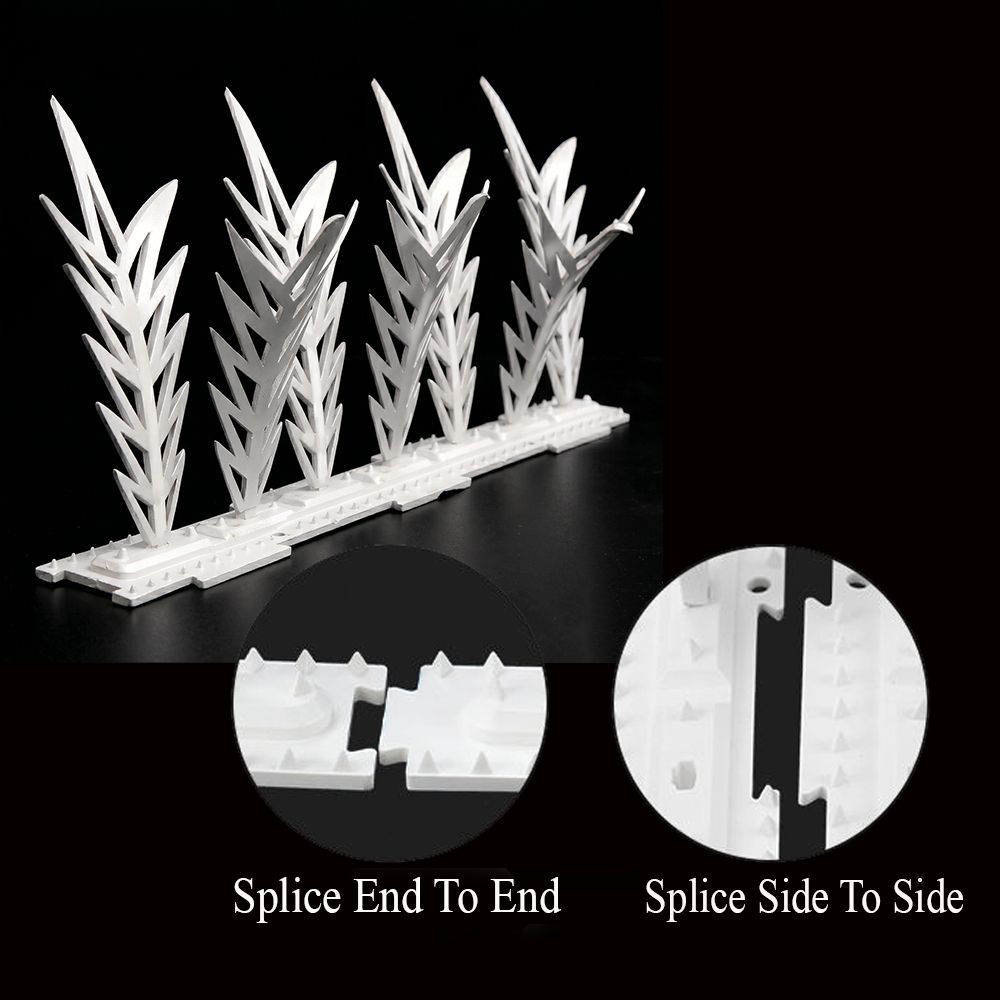 choibando Bird Spike-picture-38